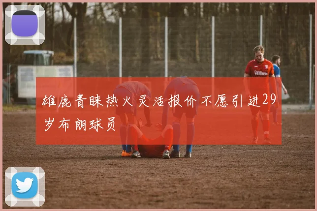 雄鹿青睐热火灵活报价不愿引进29岁布朗球员