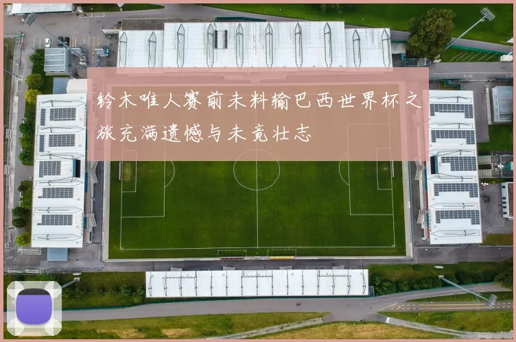 铃木唯人赛前未料输巴西世界杯之旅充满遗憾与未竟壮志