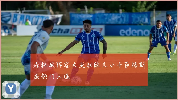 森林狼阵容大变动欧文小卡萨格斯成热门人选